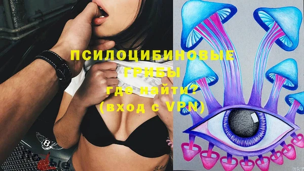 скорость Ельня