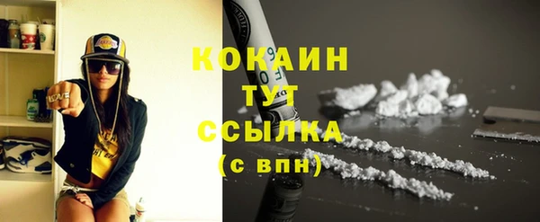 скорость Ельня